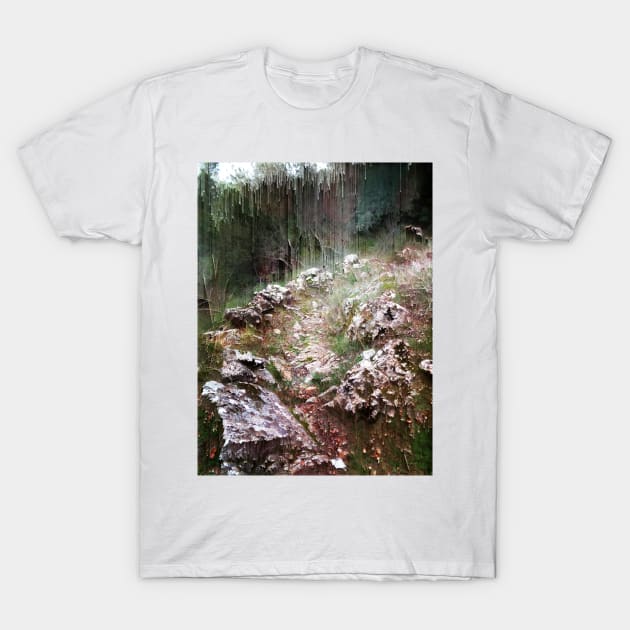 Into the Woods T-Shirt by aeolia